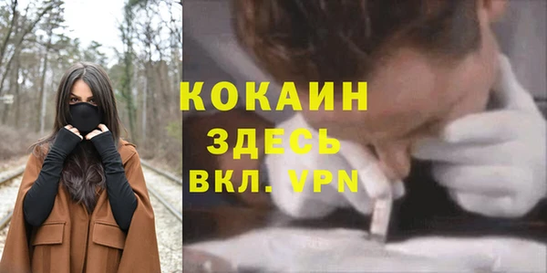 сатива Осинники