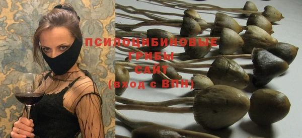 крисы Алзамай
