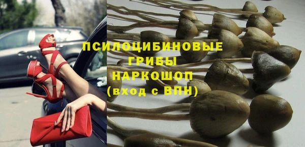крисы Алзамай