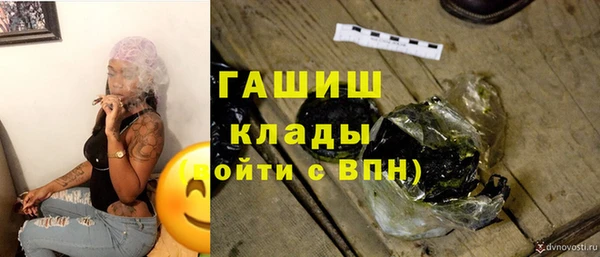 сатива Осинники