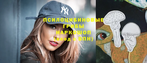 spice Алексин
