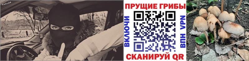 Галлюциногенные грибы мицелий  blacksprut зеркало  Нефтекумск  купить наркоту 